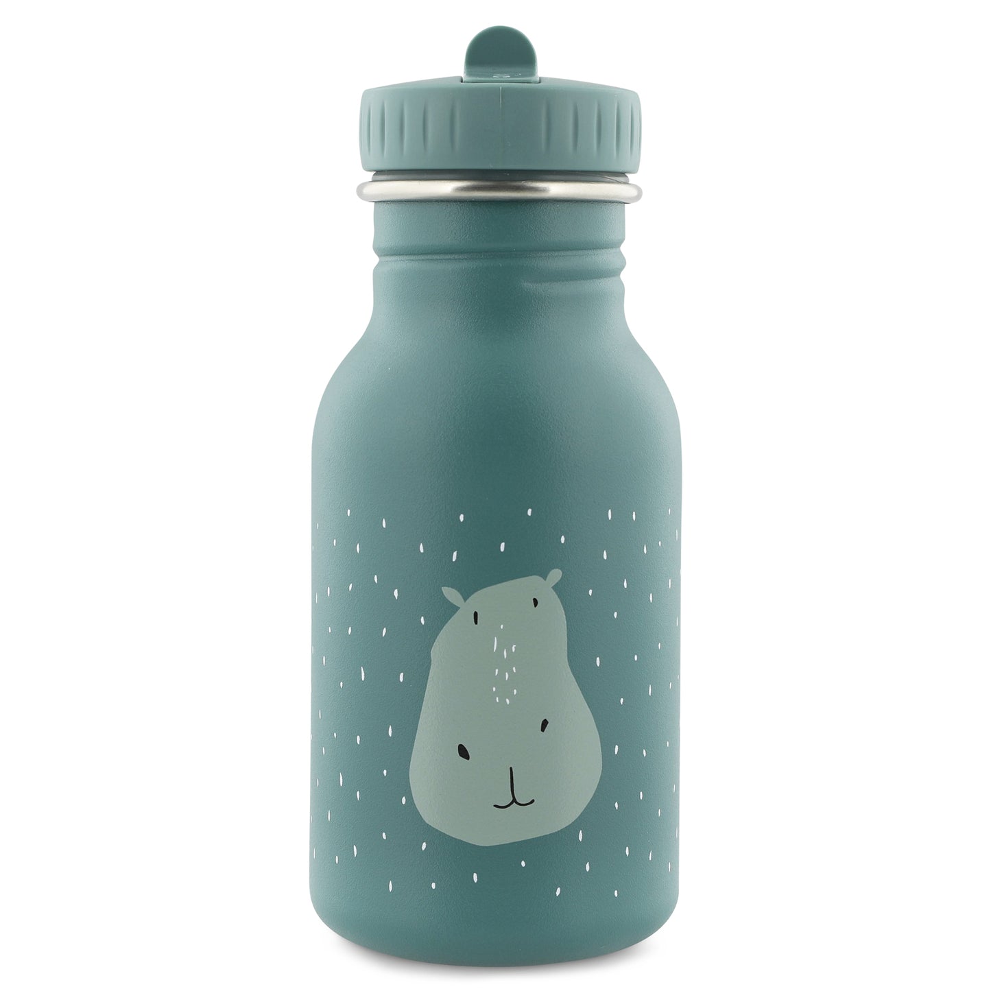 Stainless Steel Bottle - 350ml