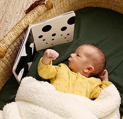 Mesmerised Black and White Baby Board Book