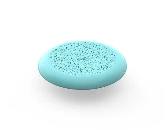 Flying Disc + Sand Sifter