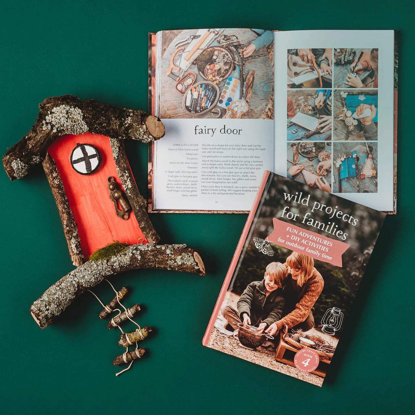 Wild Projects For Families Book