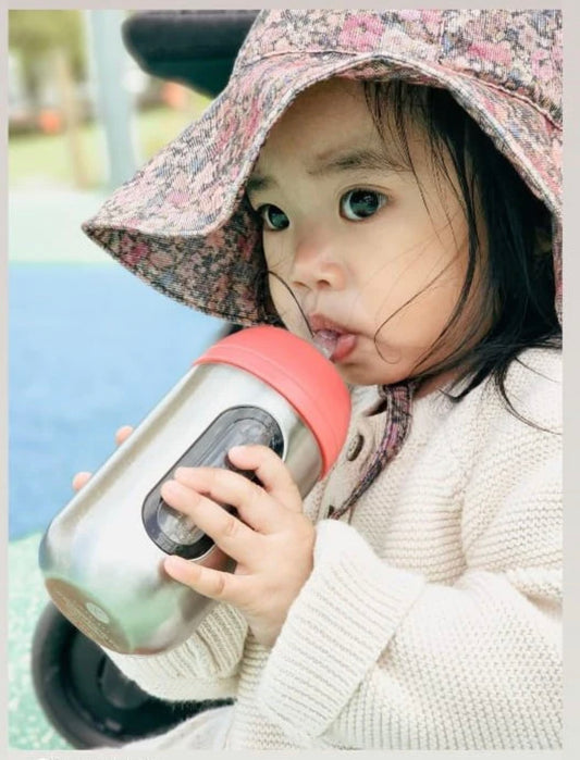 Lion And Lady Stainless Steel Straw Bottle 350ml