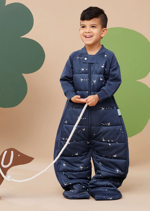 Ergo Pouch Sleep Suit Bag 2.5 tog