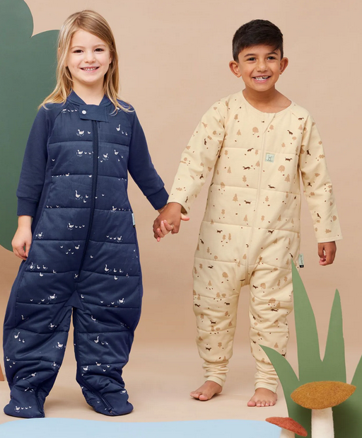 Ergo Pouch Sleep Suit Bag 2.5 tog
