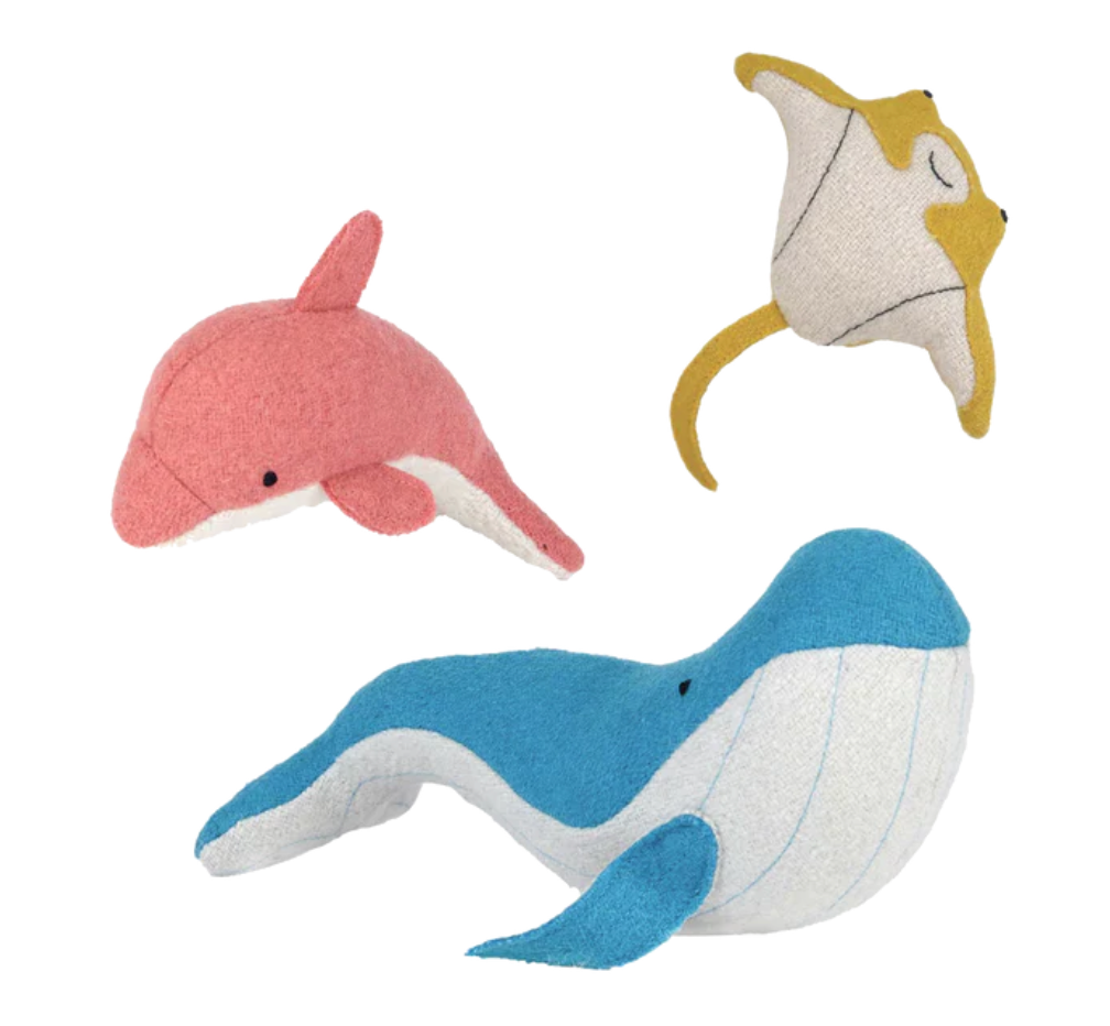 Ocean Animals
