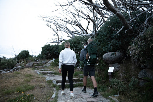 A young family hiking in Alpine Victoria in Australia with the baby in a child carrier