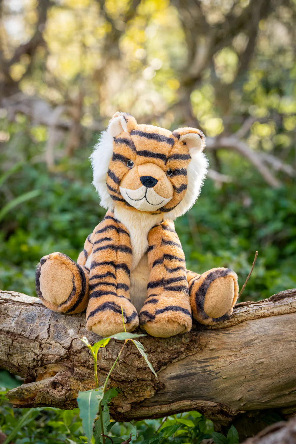 Tesh the Tiger