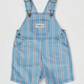 Burton Classic Stripe Denim Overalls