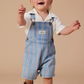 Burton Classic Stripe Denim Overalls