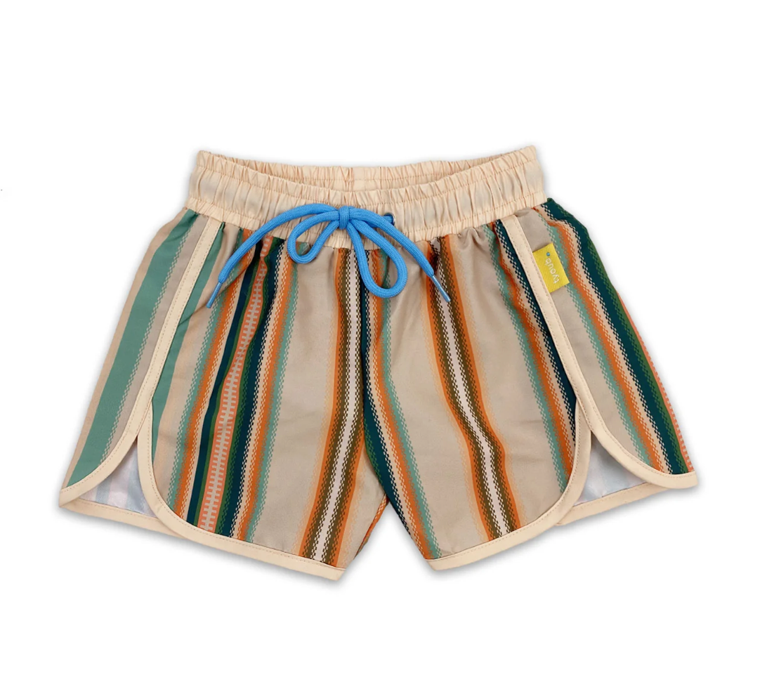 70's Style Swim Shorts Serape Stripe