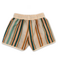 70's Style Swim Shorts Serape Stripe