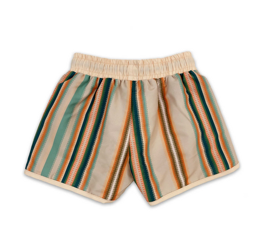 70's Style Swim Shorts Serape Stripe