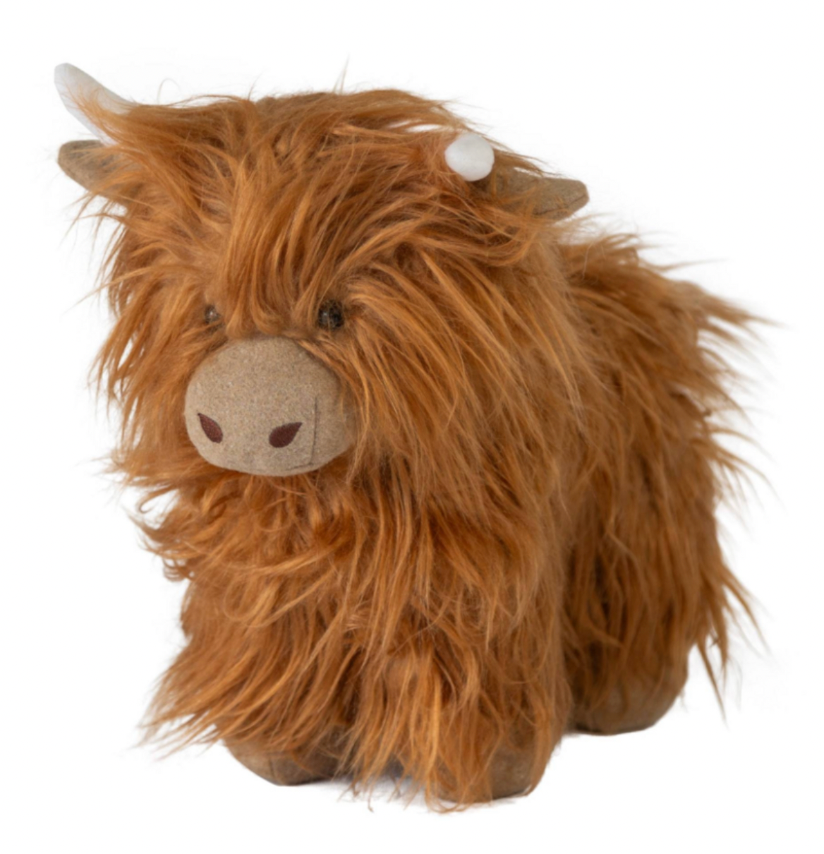 Mac the Highland Cow