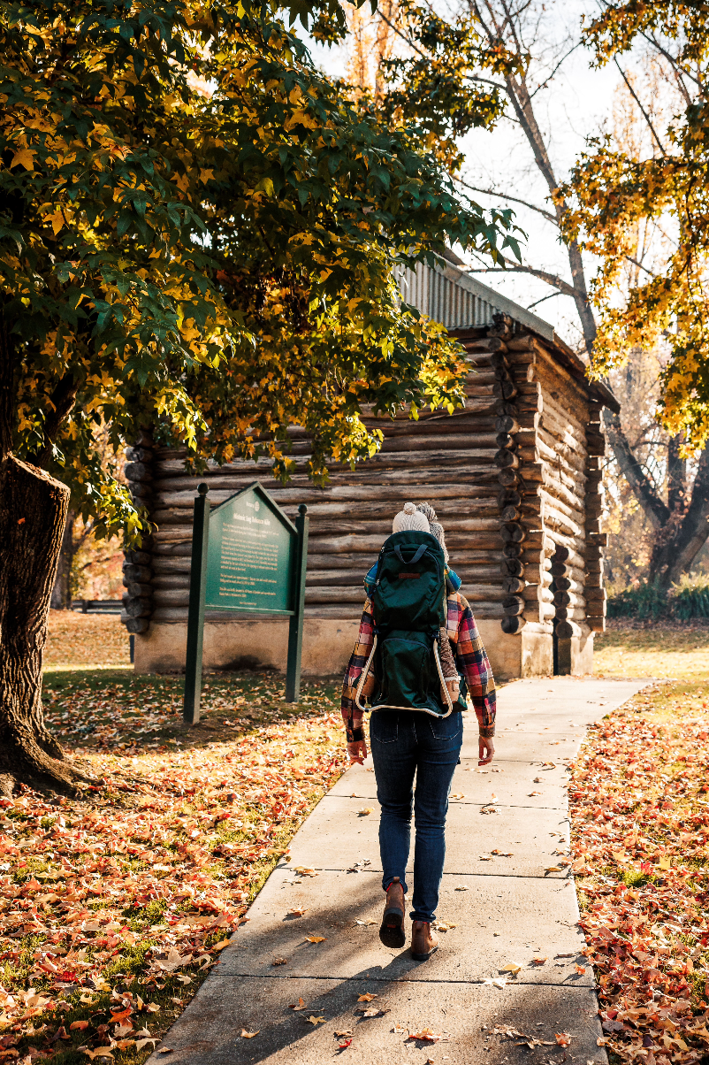 Person walking on a path towards a log cabin in a forest during autumn with a baby in a hiking carrier.