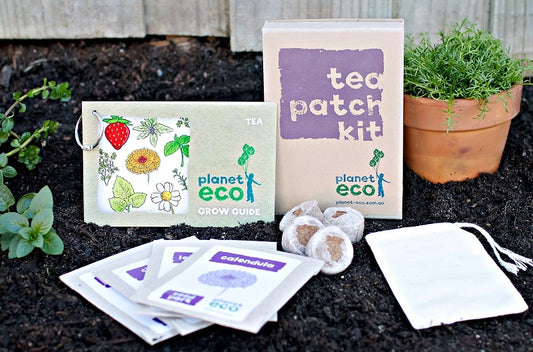 Tea Patch Kit
